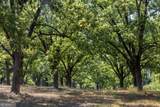 16505 Union Road - Photo 5