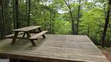 0 Pleasant Hill Trail - Photo 10