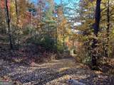 0 Pleasant Hill Trail - Photo 17