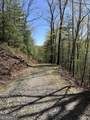 0 Pleasant Hill Trail - Photo 29