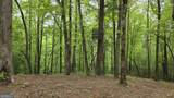 0 Pleasant Hill Trail - Photo 5