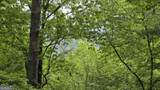 0 Pleasant Hill Trail - Photo 7