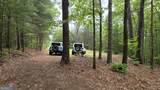 0 Pleasant Hill Trail - Photo 9