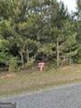 LOT 6 County Road 520 - Photo 3