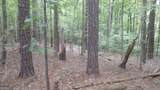 0 Woodduck Court - Photo 4