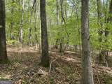 3 Curry Falls Trail - Photo 3
