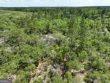8 Old Highway 46   (24.84 Ac) - Photo 14