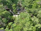 8 Old Highway 46   (24.84 Ac) - Photo 15