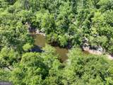 8 Old Highway 46   (24.84 Ac) - Photo 17