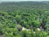 8 Old Highway 46   (24.84 Ac) - Photo 19