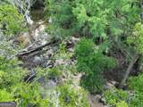 8 Old Highway 46   (24.84 Ac) - Photo 21