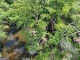 8 Old Highway 46   (24.84 Ac) - Photo 24