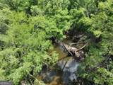 8 Old Highway 46   (24.84 Ac) - Photo 25