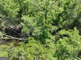 8 Old Highway 46   (24.84 Ac) - Photo 26