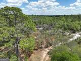 8 Old Highway 46   (24.84 Ac) - Photo 3