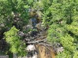 8 Old Highway 46   (24.84 Ac) - Photo 31