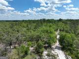 8 Old Highway 46   (24.84 Ac) - Photo 4