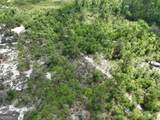 8 Old Highway 46   (24.84 Ac) - Photo 7