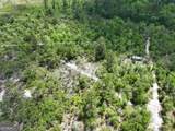 8 Old Highway 46   (24.84 Ac) - Photo 8