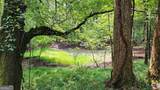 1661 Friendship Road - Photo 34