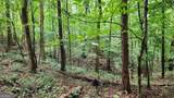 1661 Friendship Road - Photo 48