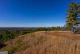 825 Young Loop - Photo 23