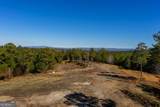 825 Young Loop - Photo 25
