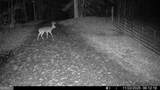 500 Big Sky Trail - Photo 17