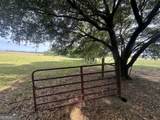 1309 Jarrell Pond Road - Photo 11