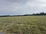 1309 Jarrell Pond Road - Photo 14