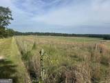 1309 Jarrell Pond Road - Photo 2
