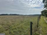 1309 Jarrell Pond Road - Photo 3