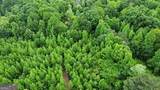 0 Wildlife Lake Road - Photo 1