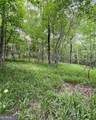 55 Sweetwater - Photo 3