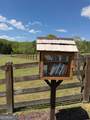 LOT 189 Hawks Nest Court - Photo 3