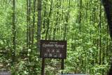 LOT 189 Hawks Nest Court - Photo 8