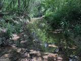715+/- AC Ridgeway Road - Photo 10