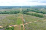 715+/- AC Ridgeway Road - Photo 13