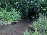 715+/- AC Ridgeway Road - Photo 9