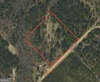3570 William Dennis Road - Photo 10