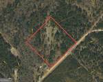 3570 William Dennis Road - Photo 11