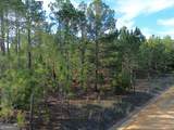 3570 William Dennis Road - Photo 12