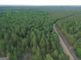 3570 William Dennis Road - Photo 9