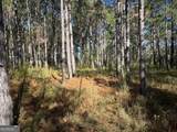 0 Buck Creek Road - Photo 10