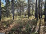 0 Buck Creek Road - Photo 19