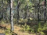 0 Buck Creek Road - Photo 5