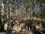 0 Buck Creek Road - Photo 8