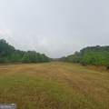 145 +/- ACRES George Smith Road - Photo 1