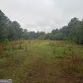 145 +/- ACRES George Smith Road - Photo 11