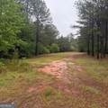 145 +/- ACRES George Smith Road - Photo 13